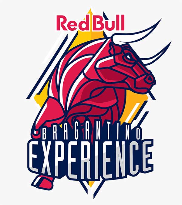 Red Bull Experience